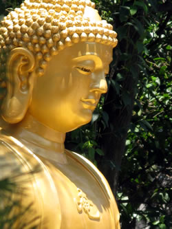 chinese golden buddha