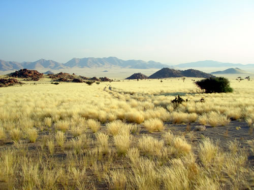  - 201110-namibia-namibrand-nature-reserve