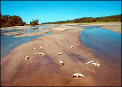 Platte River near Central City, NE in the mid-1970's
