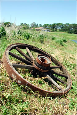 Spring Creek is home to the historic Oregon Trail ruts that run through the site.